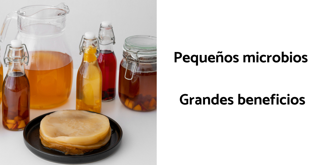 Kombucha Pequeños microbios grandes beneficios