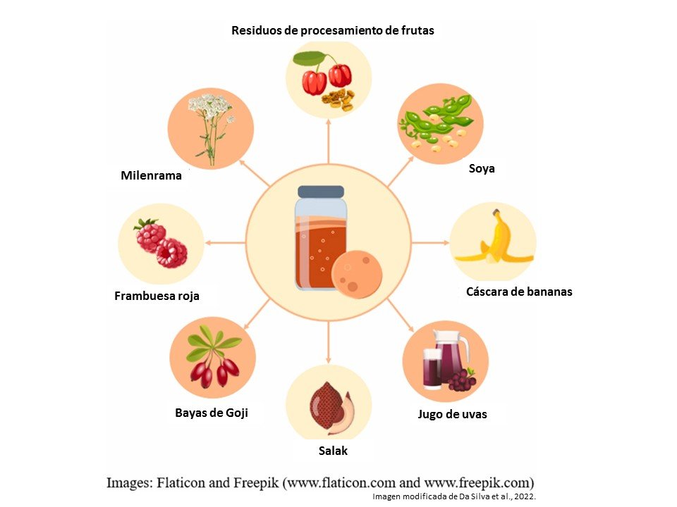 Kombucha aditivos