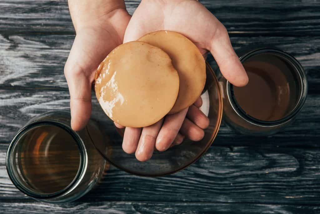 Scoby kombucha
