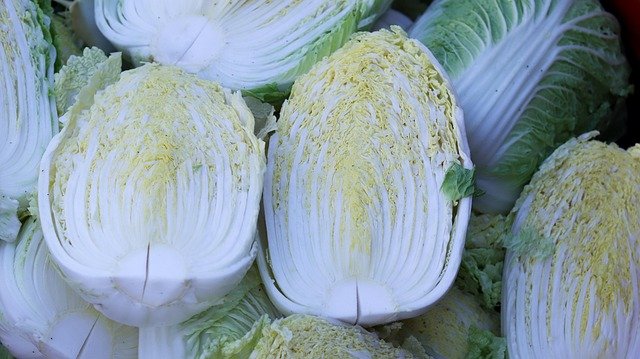 kimchi col china
