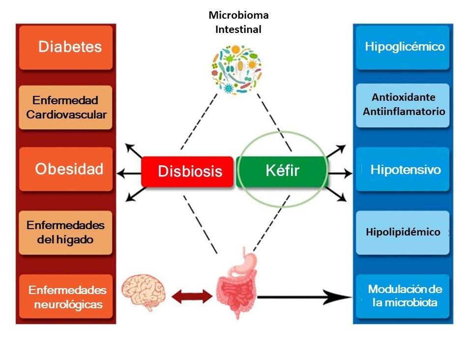 kéfir salud