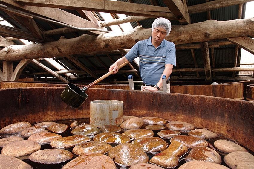 salsa de soja preparación