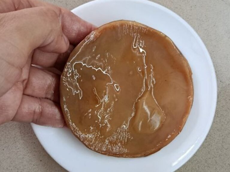 SCOBY kombucha