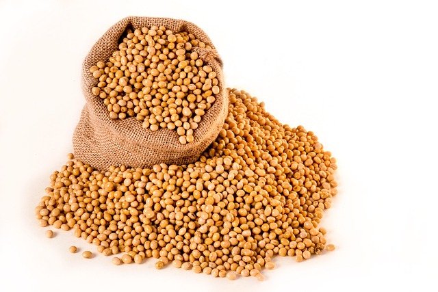 soja semillas